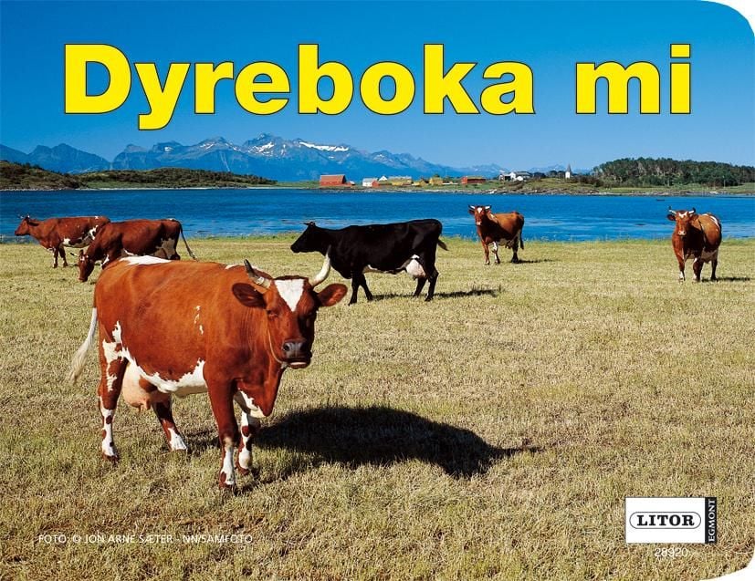 Dyreboka mi