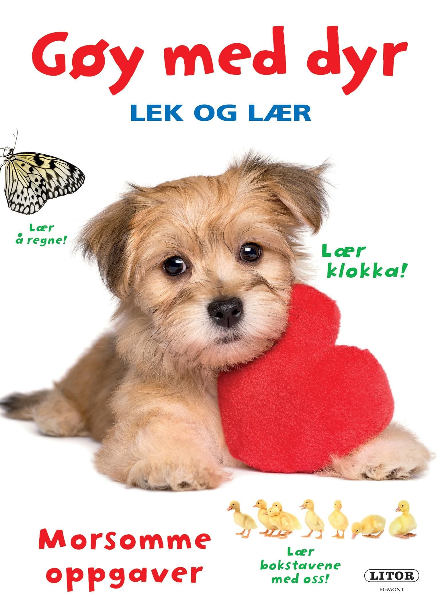 Gøy med dyr
