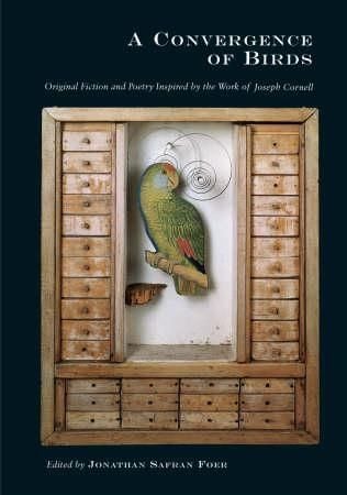A convergence of birds