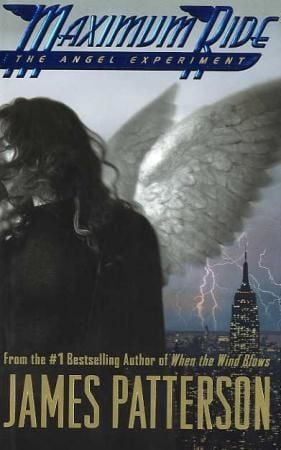 The angel experiment