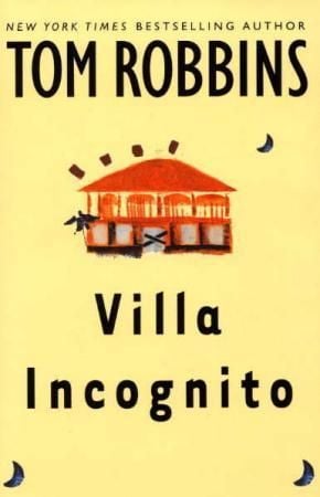 Villa Incognito