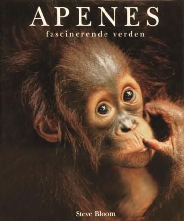 Apenes fascinerende verden