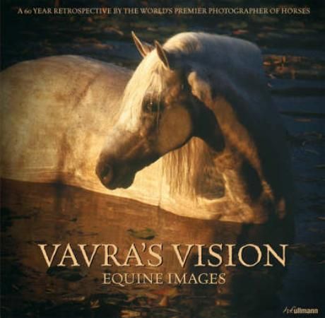 Vavra's vision