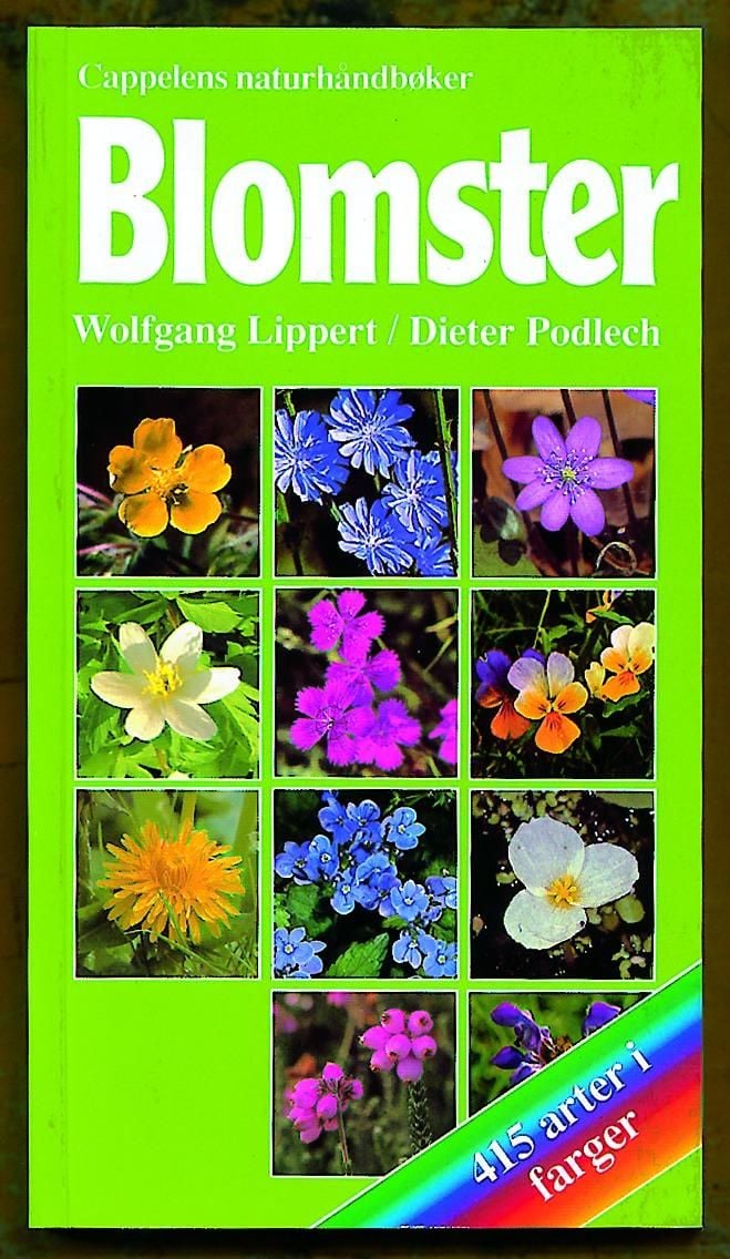 Blomster
