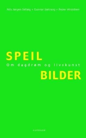 Speilbilder
