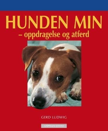 Hunden min