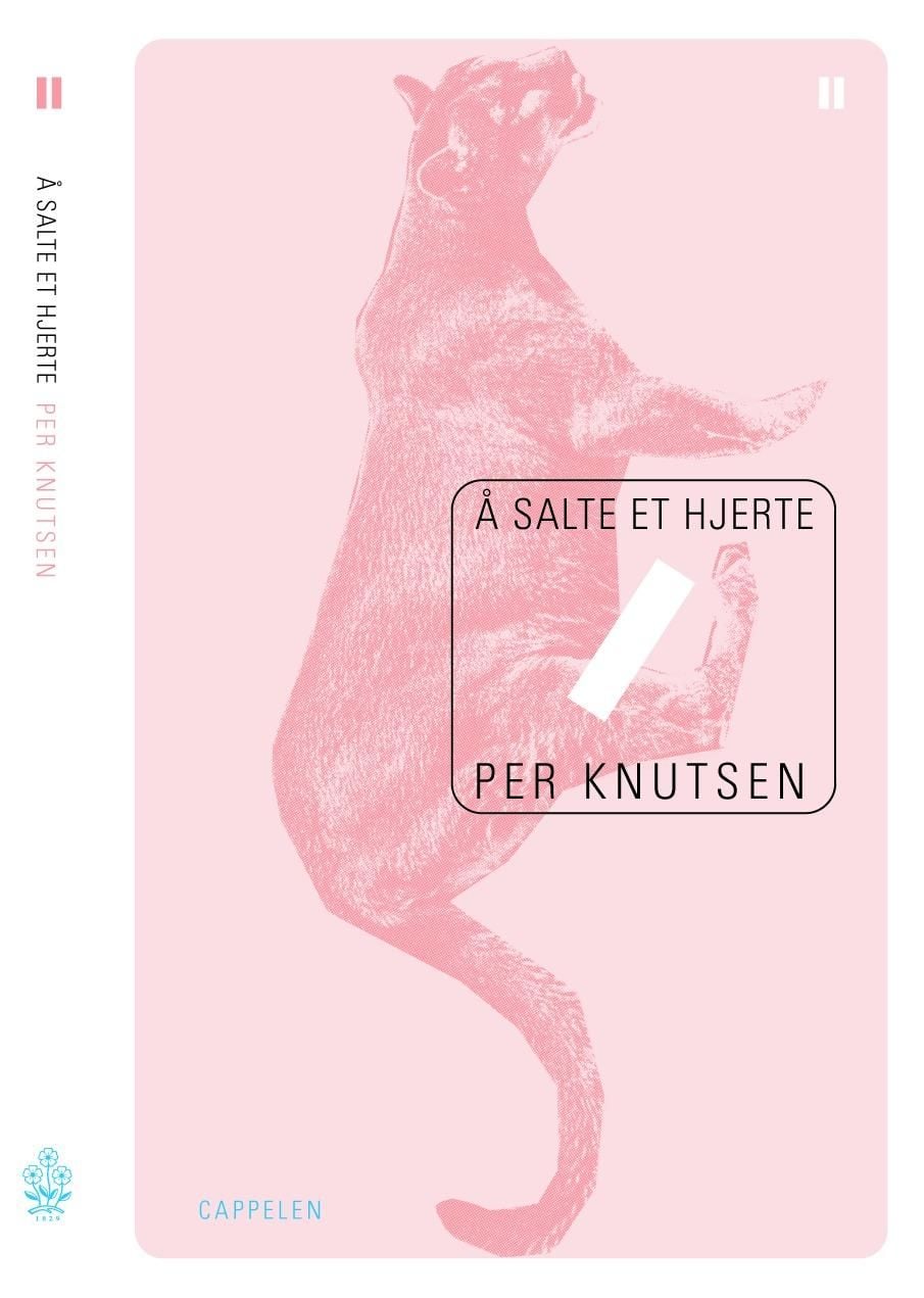 Å salte et hjerte
