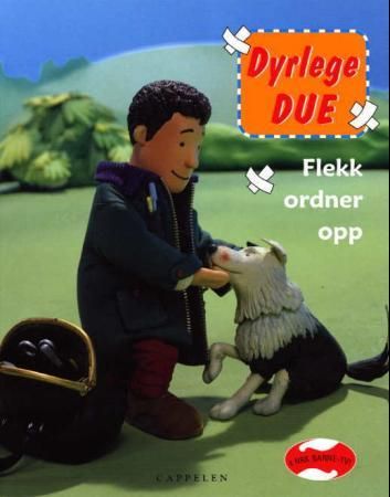 Flekk ordner opp