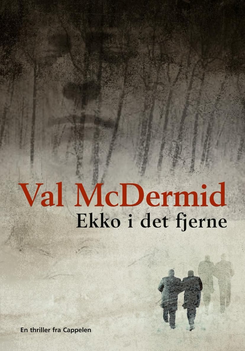 Ekko i det fjerne