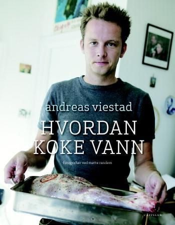 Hvordan koke vann