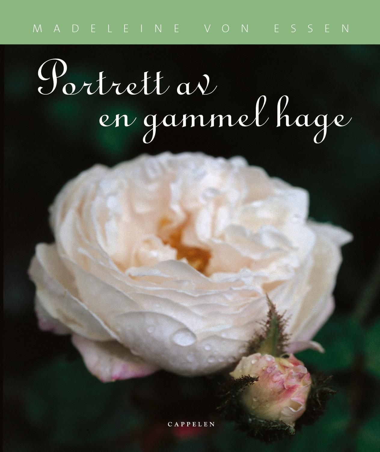 Portrett av en gammel hage