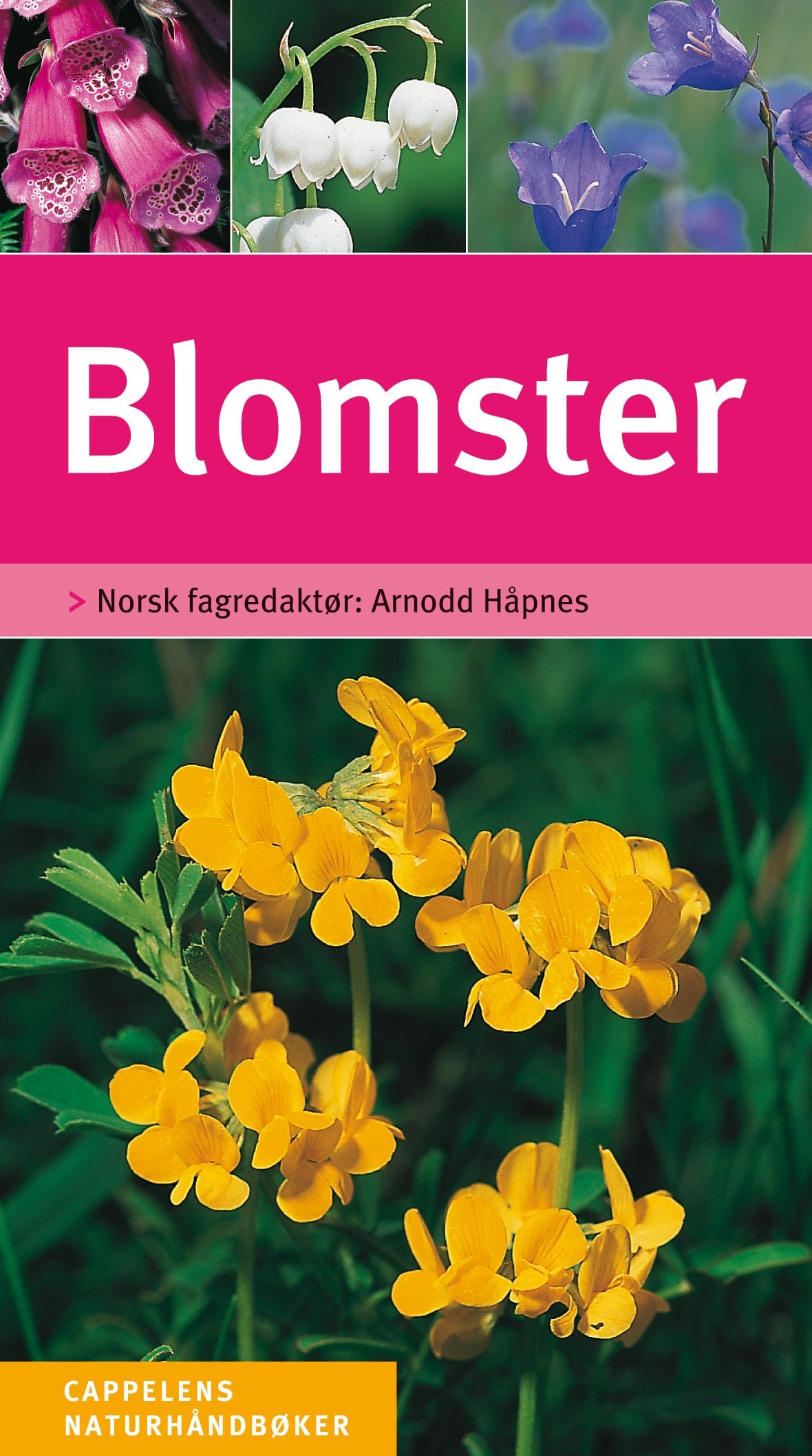 Blomster