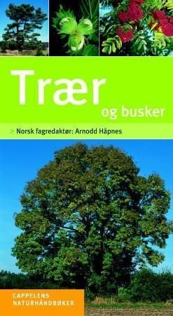 Trær og busker