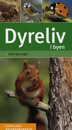 Dyreliv i byen