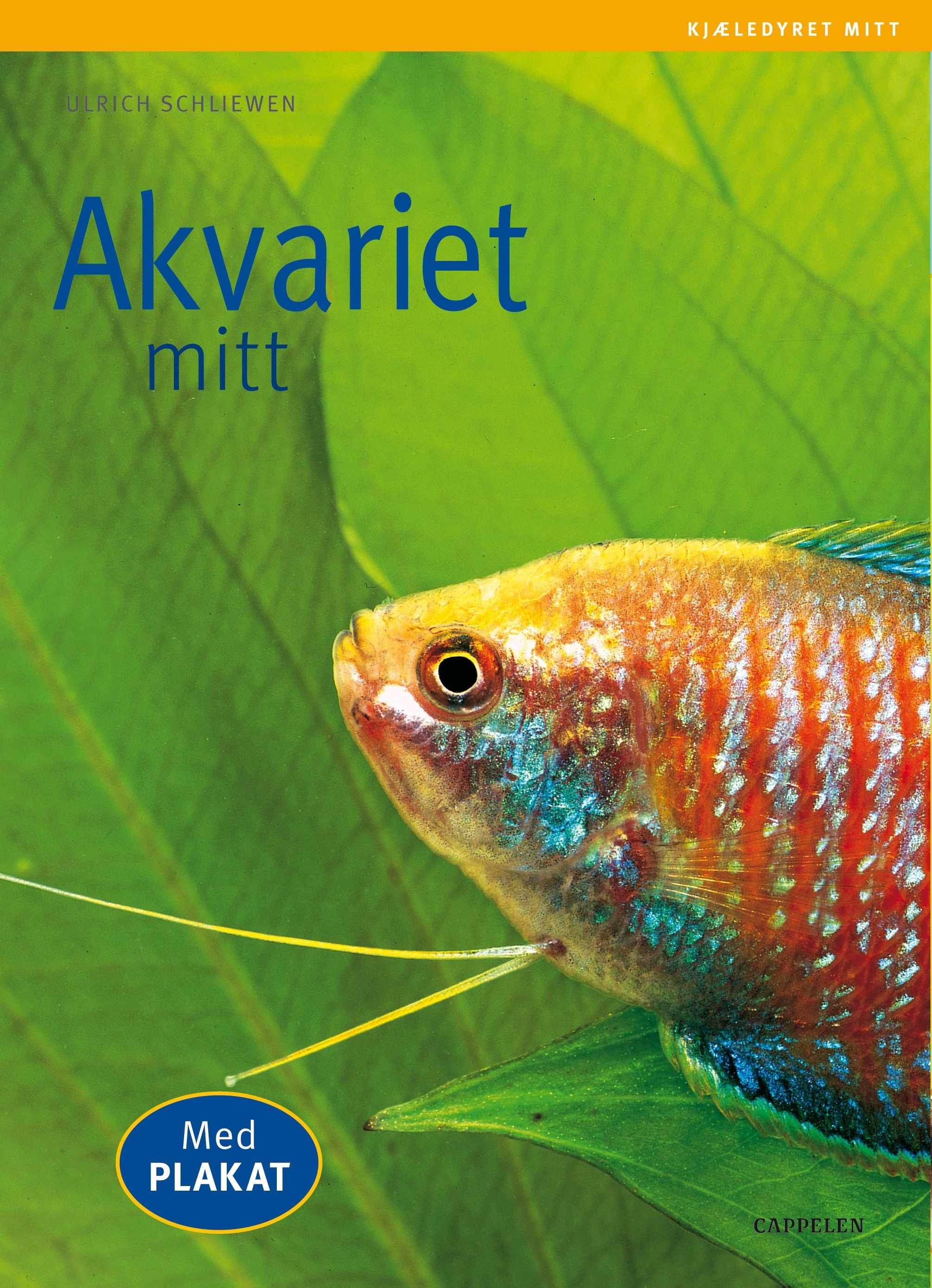 Akvariet mitt