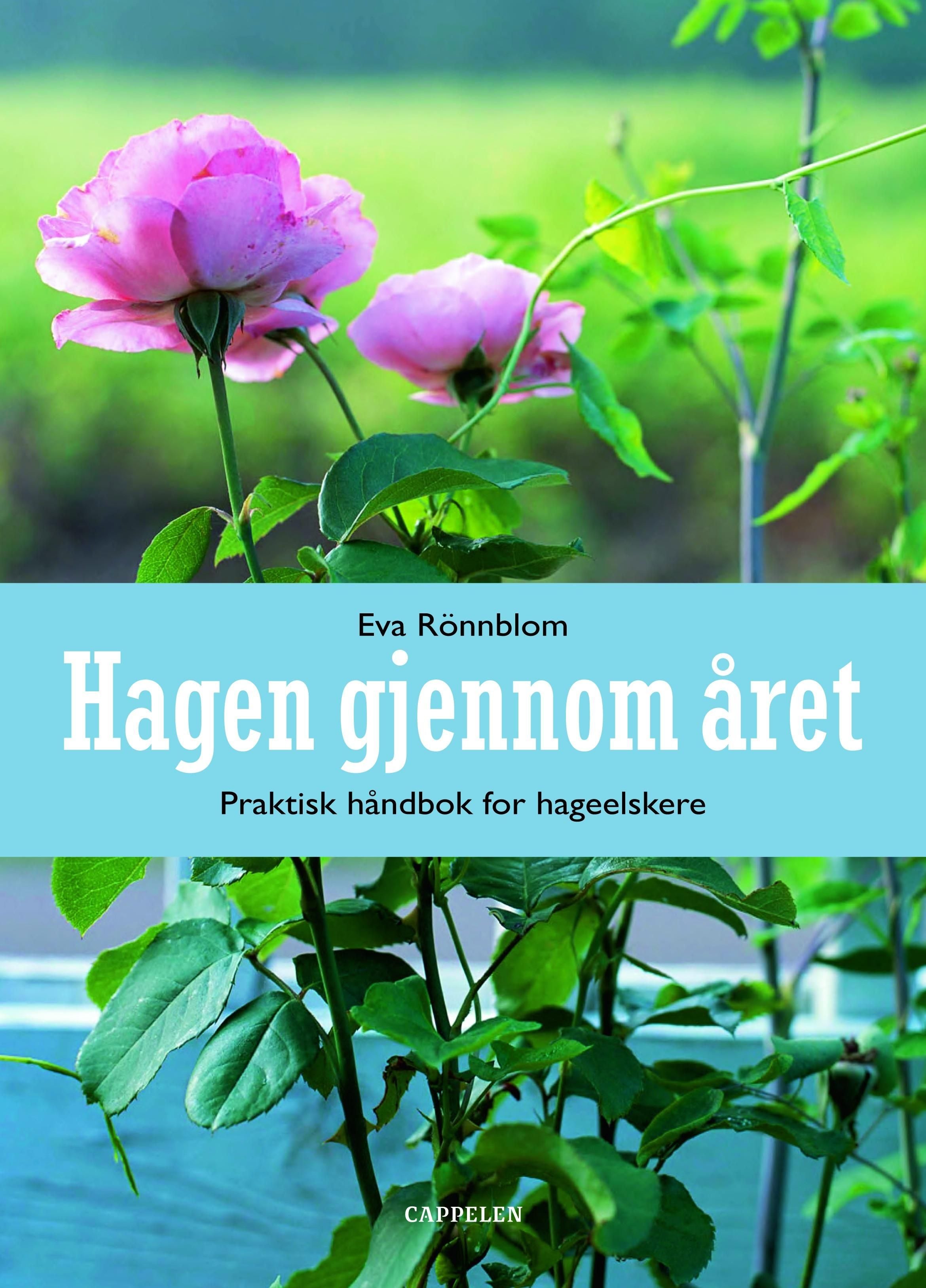 Hagen gjennom året