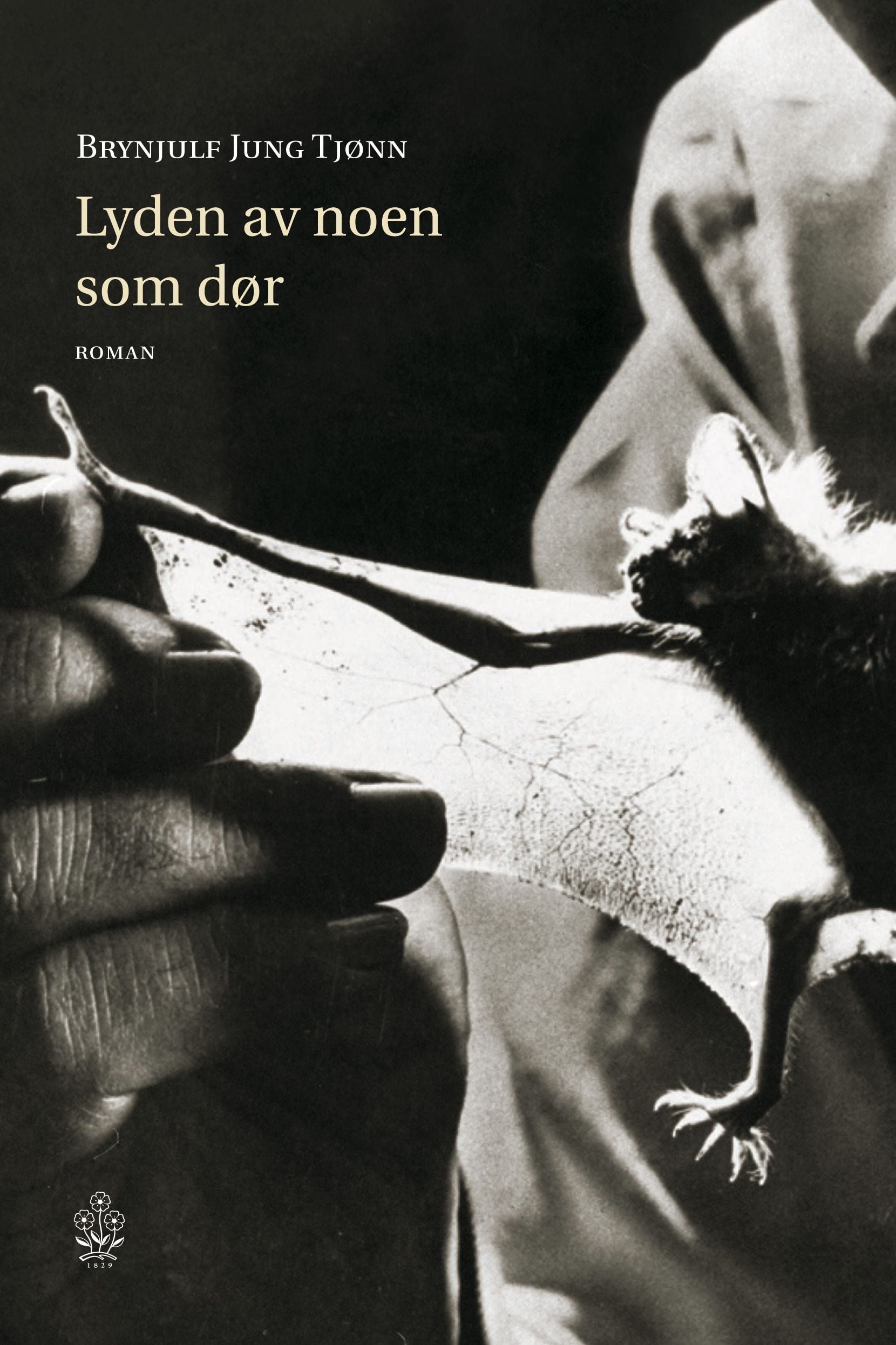 Lyden av noen som dør