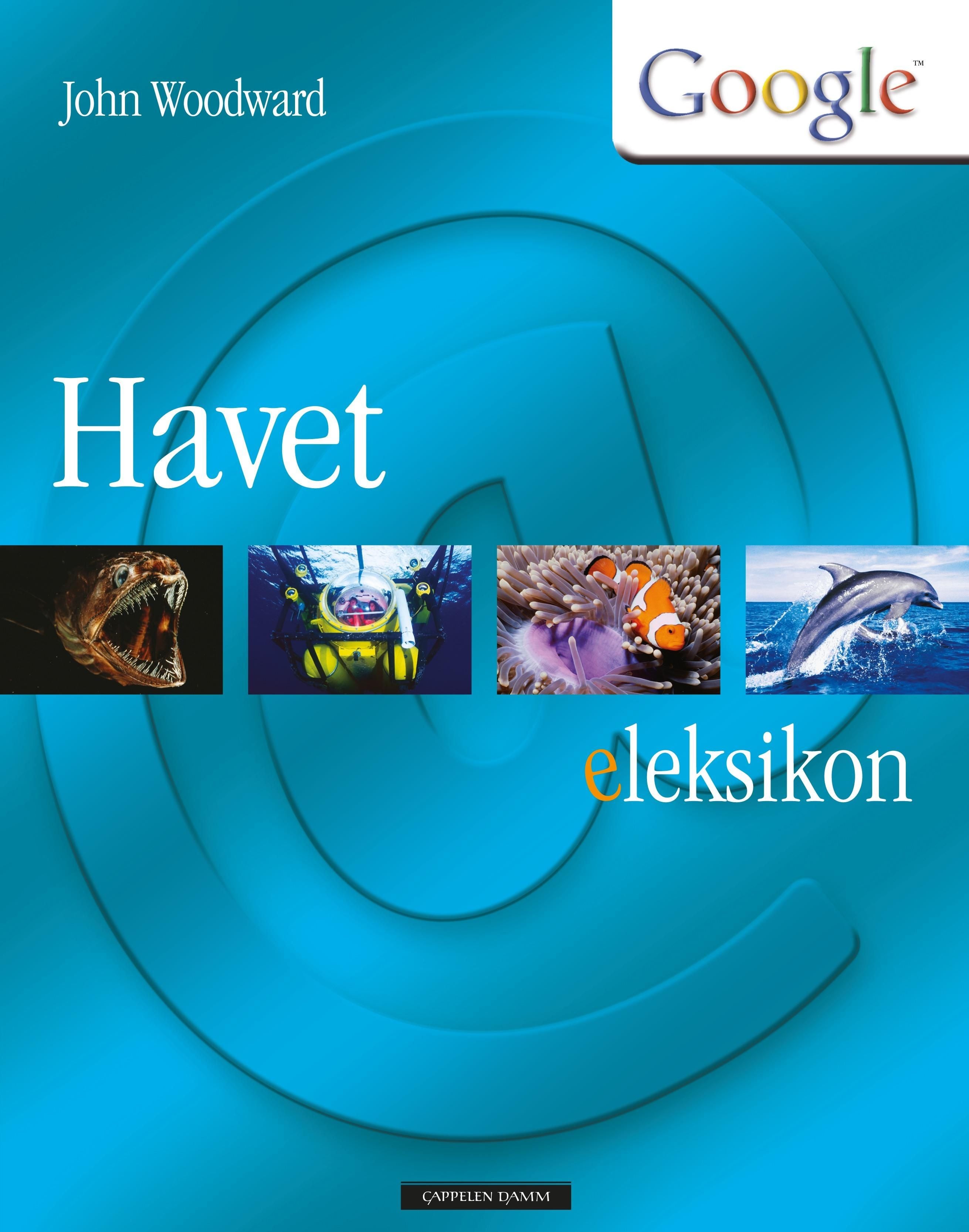 Havet