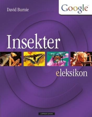 Insekter