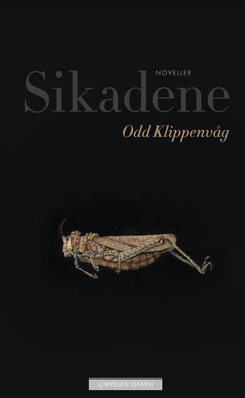 Sikadene