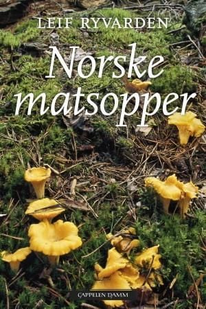 Norske matsopper