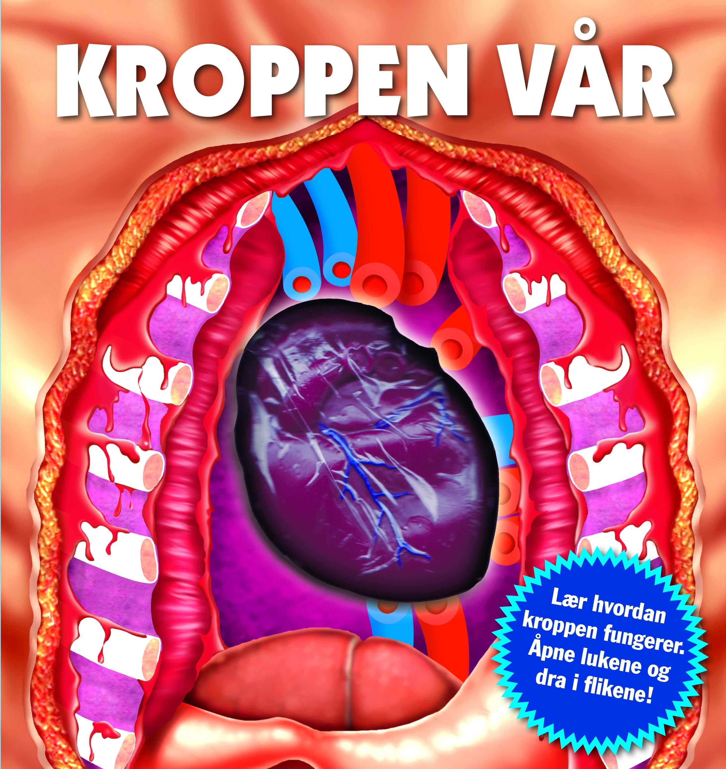 Kroppen vår