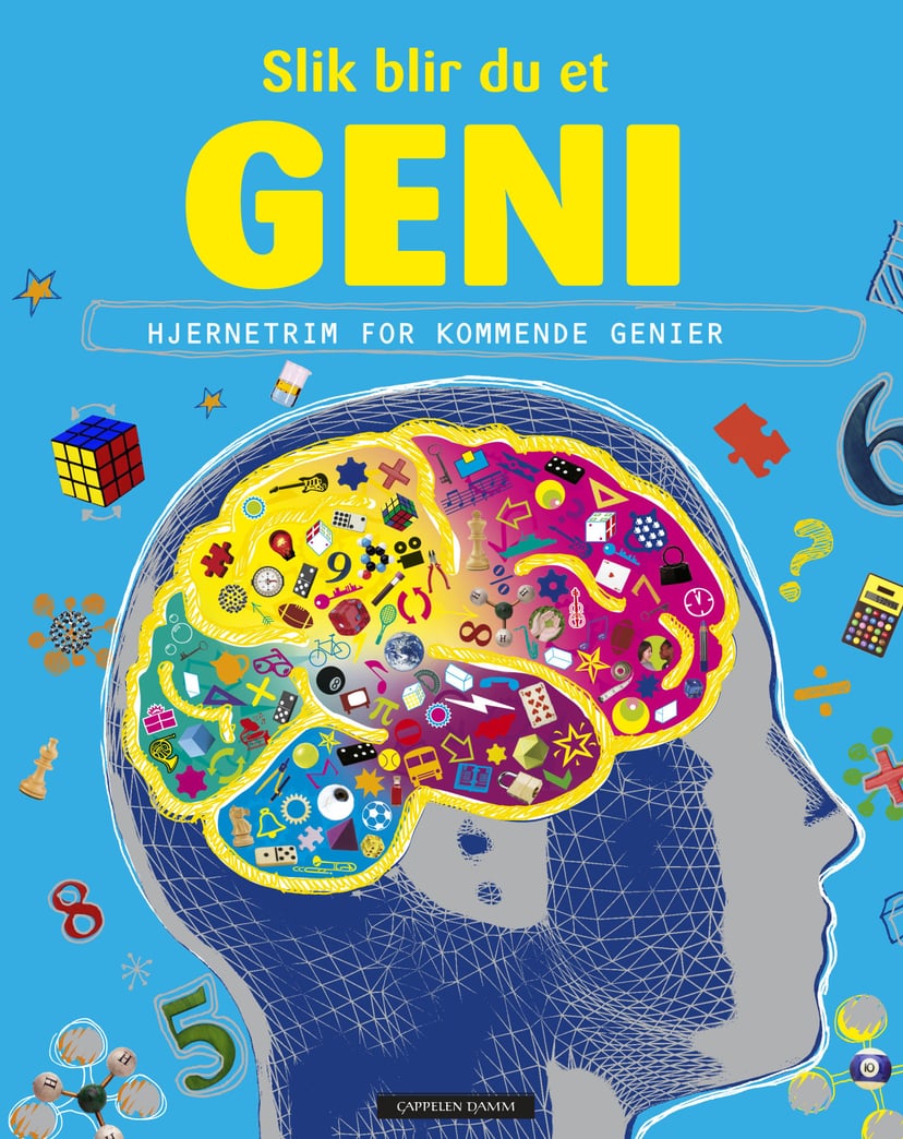 Slik blir du et geni