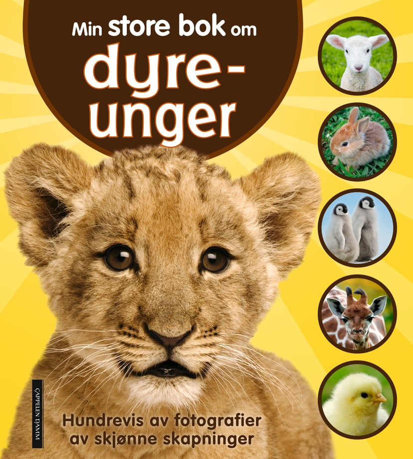 Min store bok om dyreunger