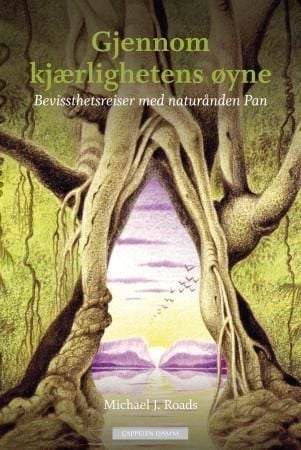 Gjennom kjærlighetens øyne