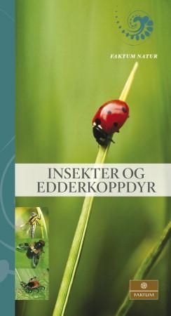 Insekter og edderkoppdyr