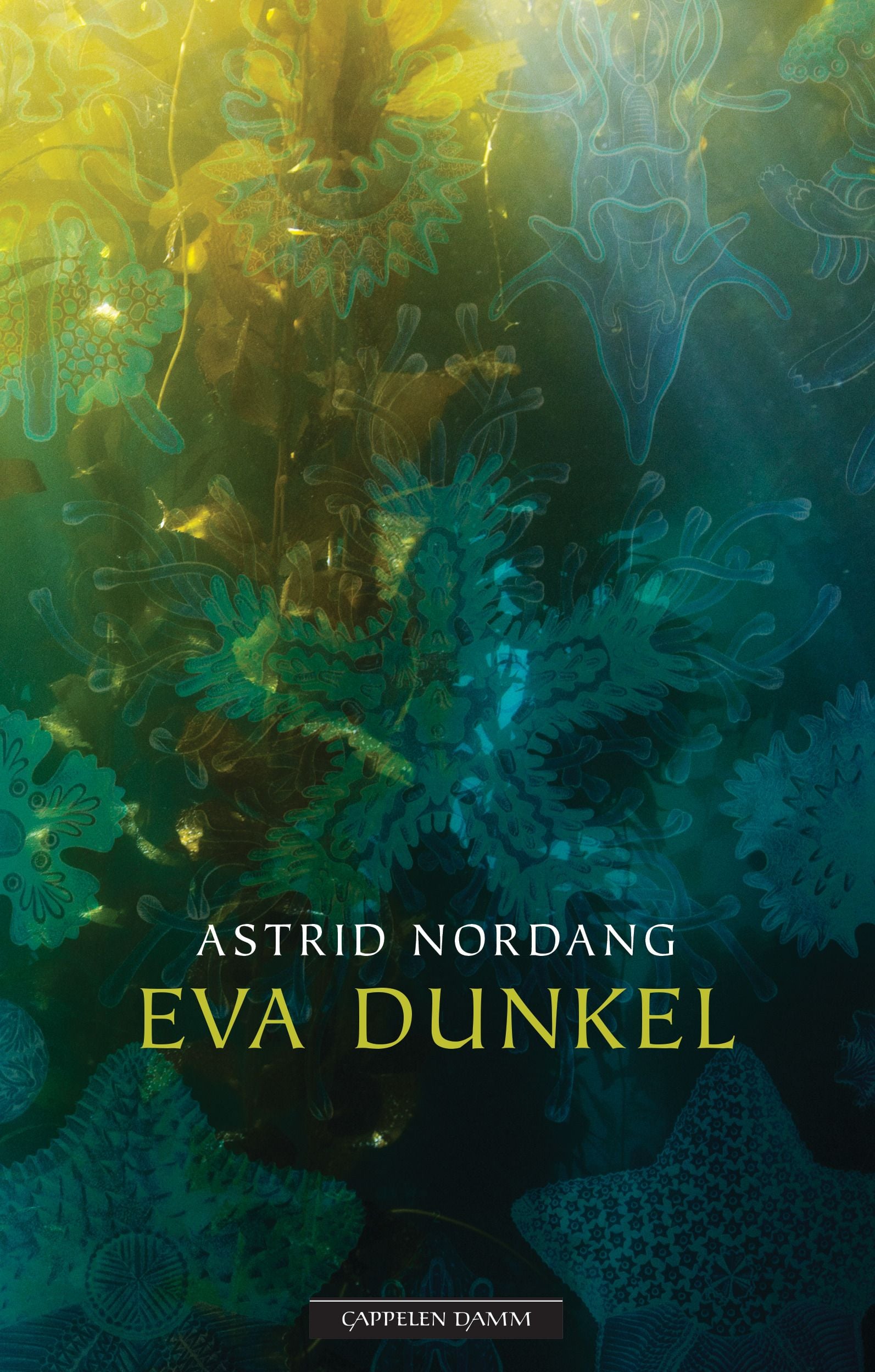 Eva Dunkel