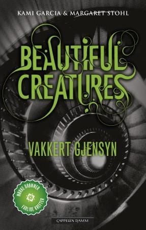 Vakkert gjensyn