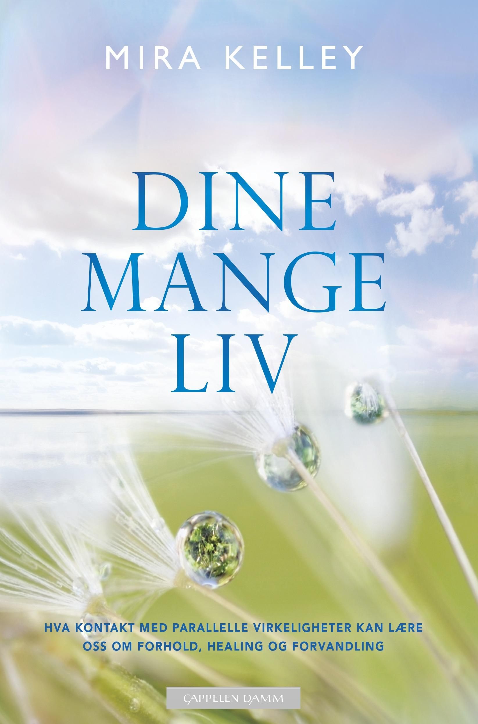 Dine mange liv