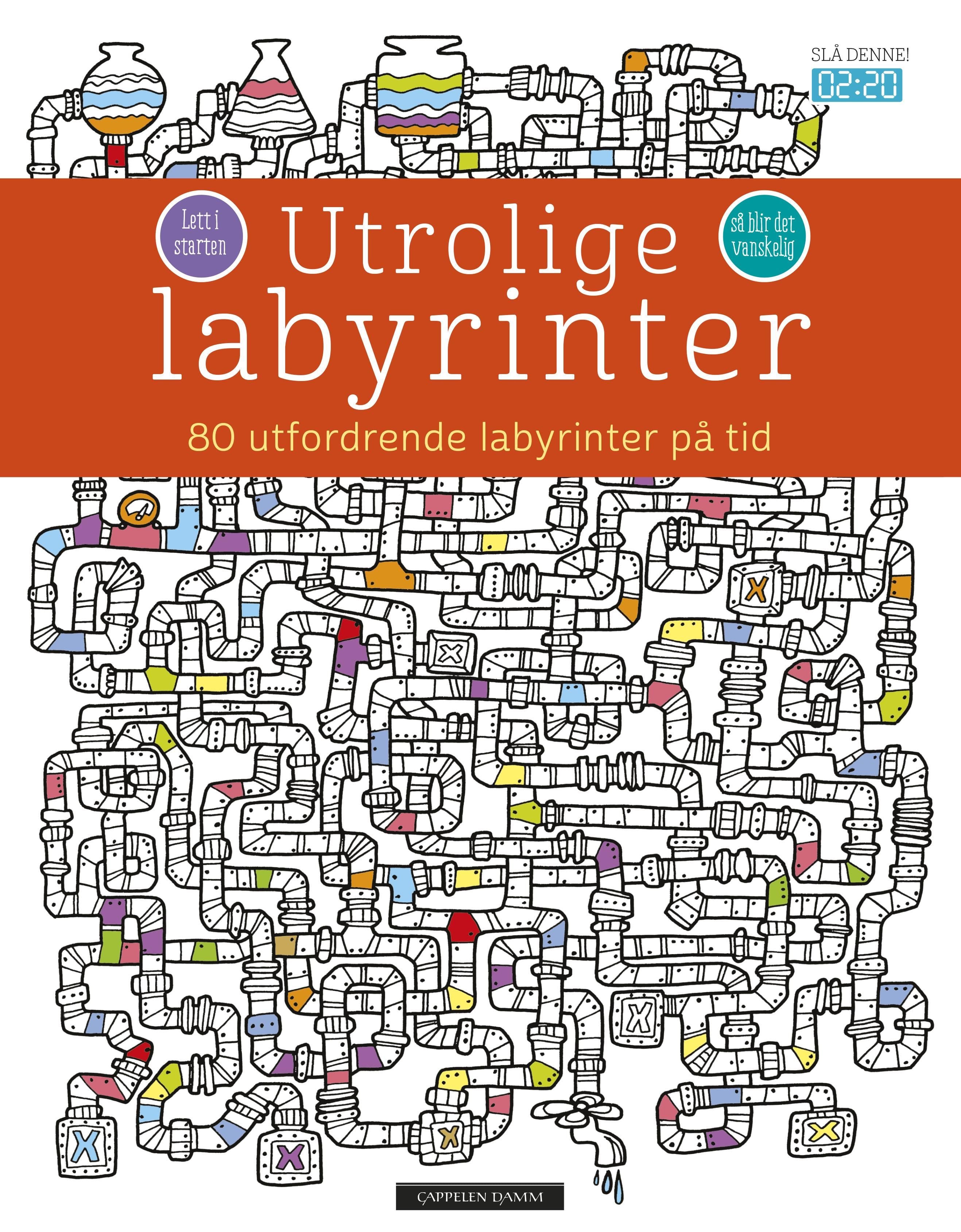 Utrolige labyrinter