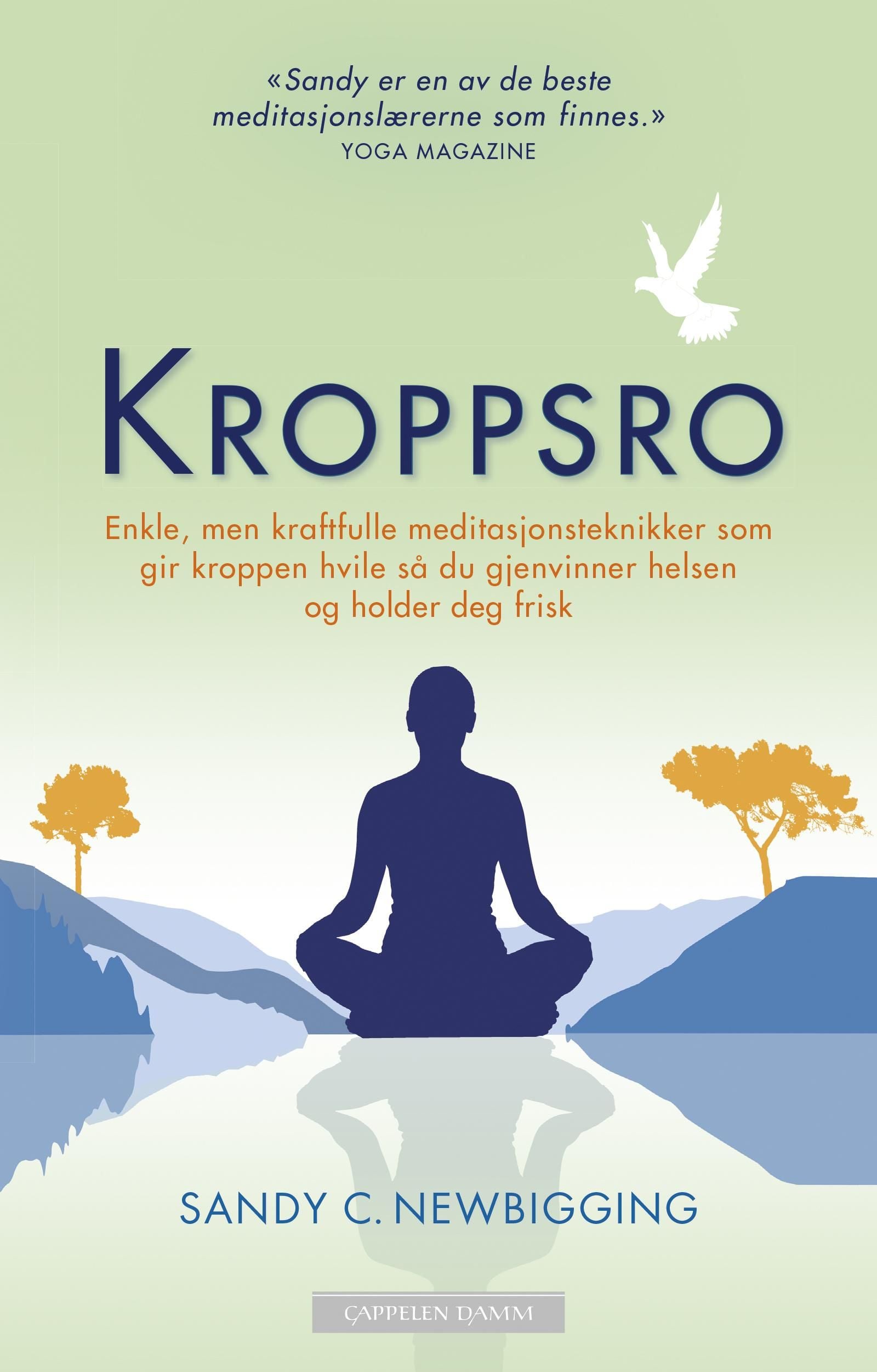 Kroppsro