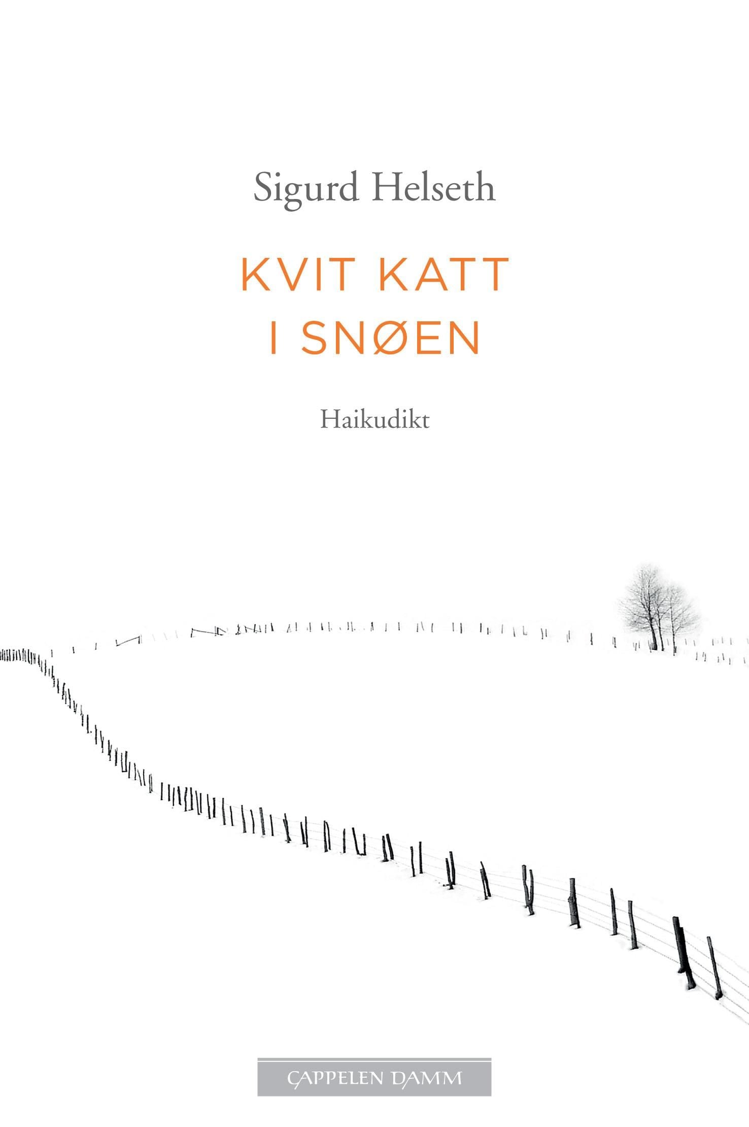 Kvit katt i snøen