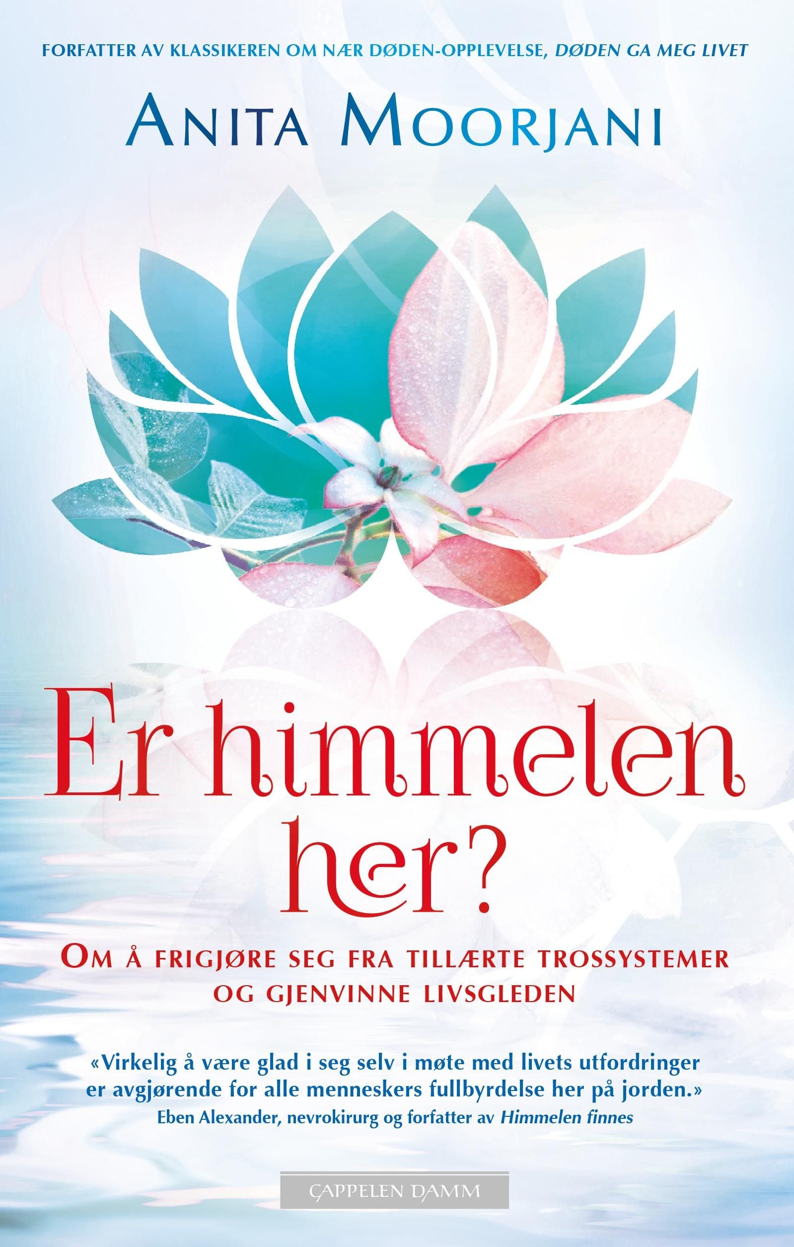 Er himmelen her?