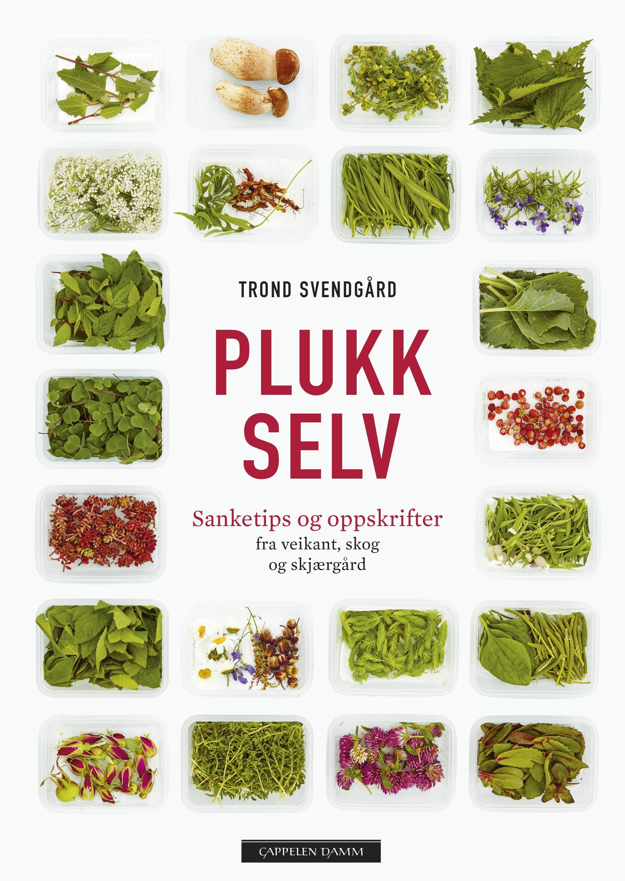 Plukk selv