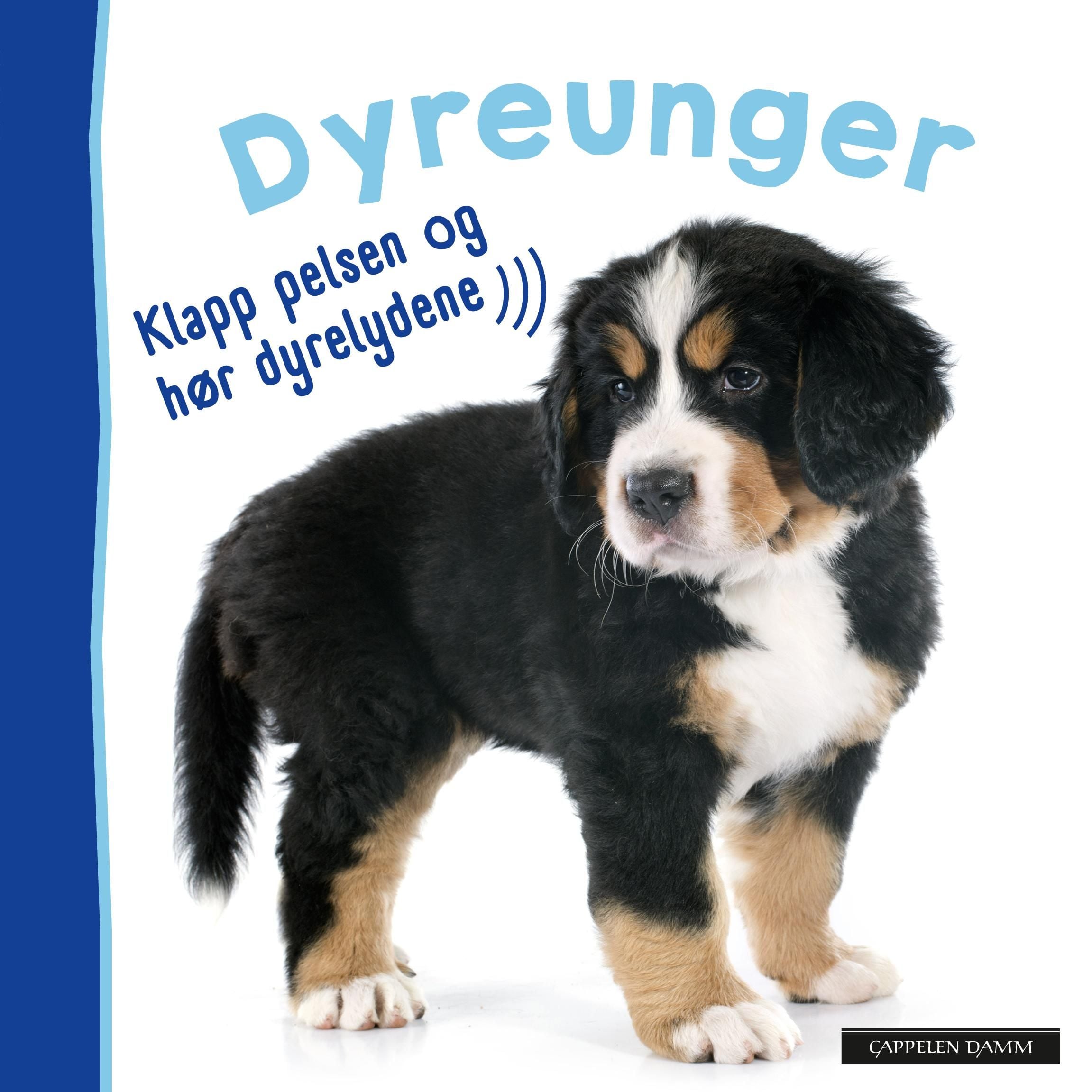 Dyreunger