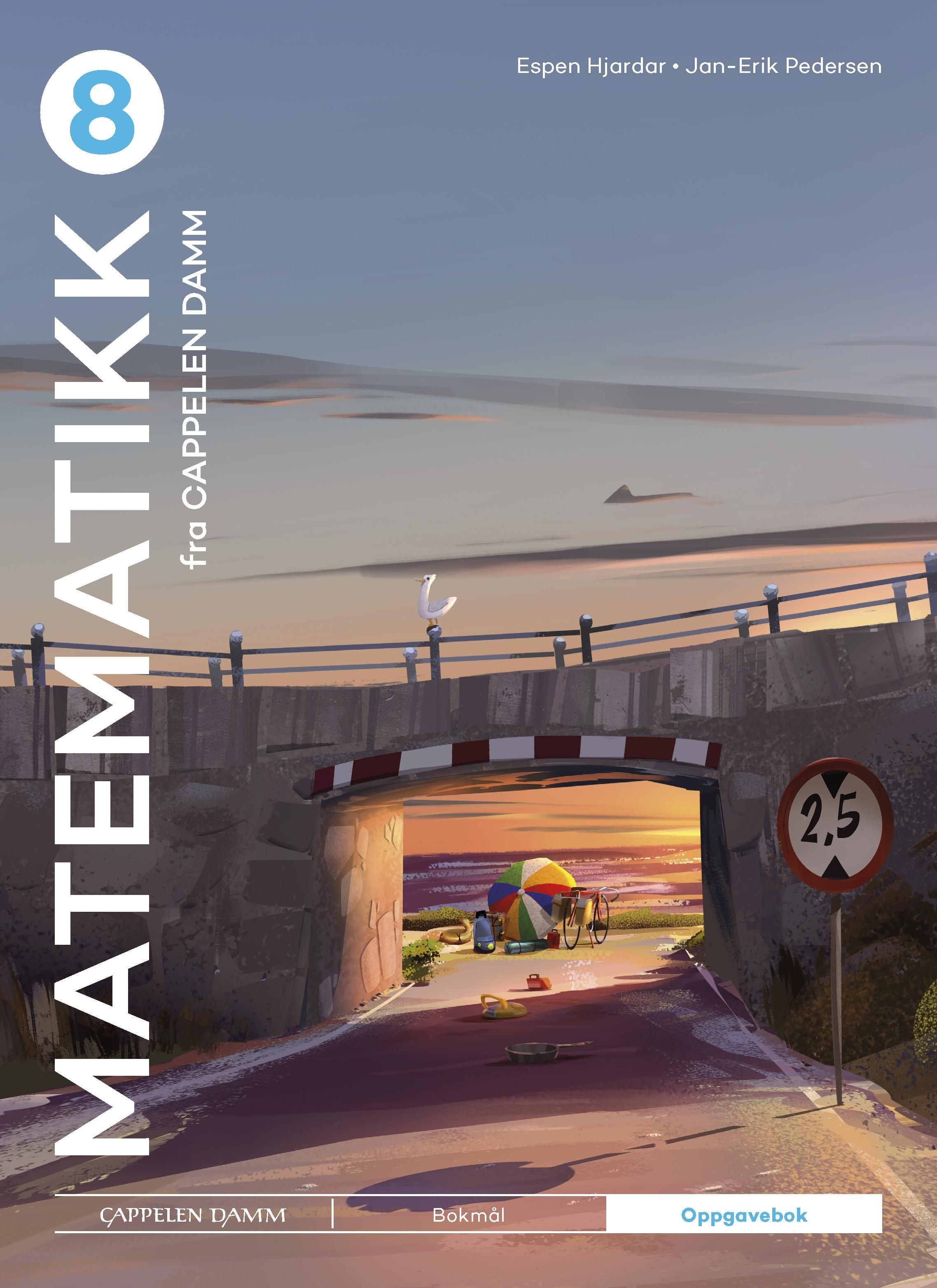 Matematikk 8 fra Cappelen Damm