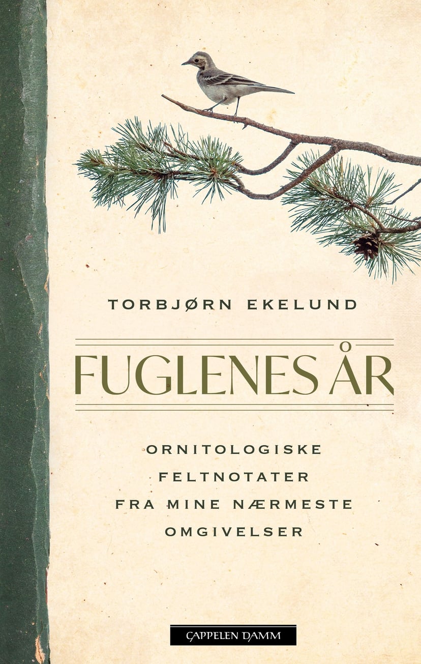 Fuglenes år