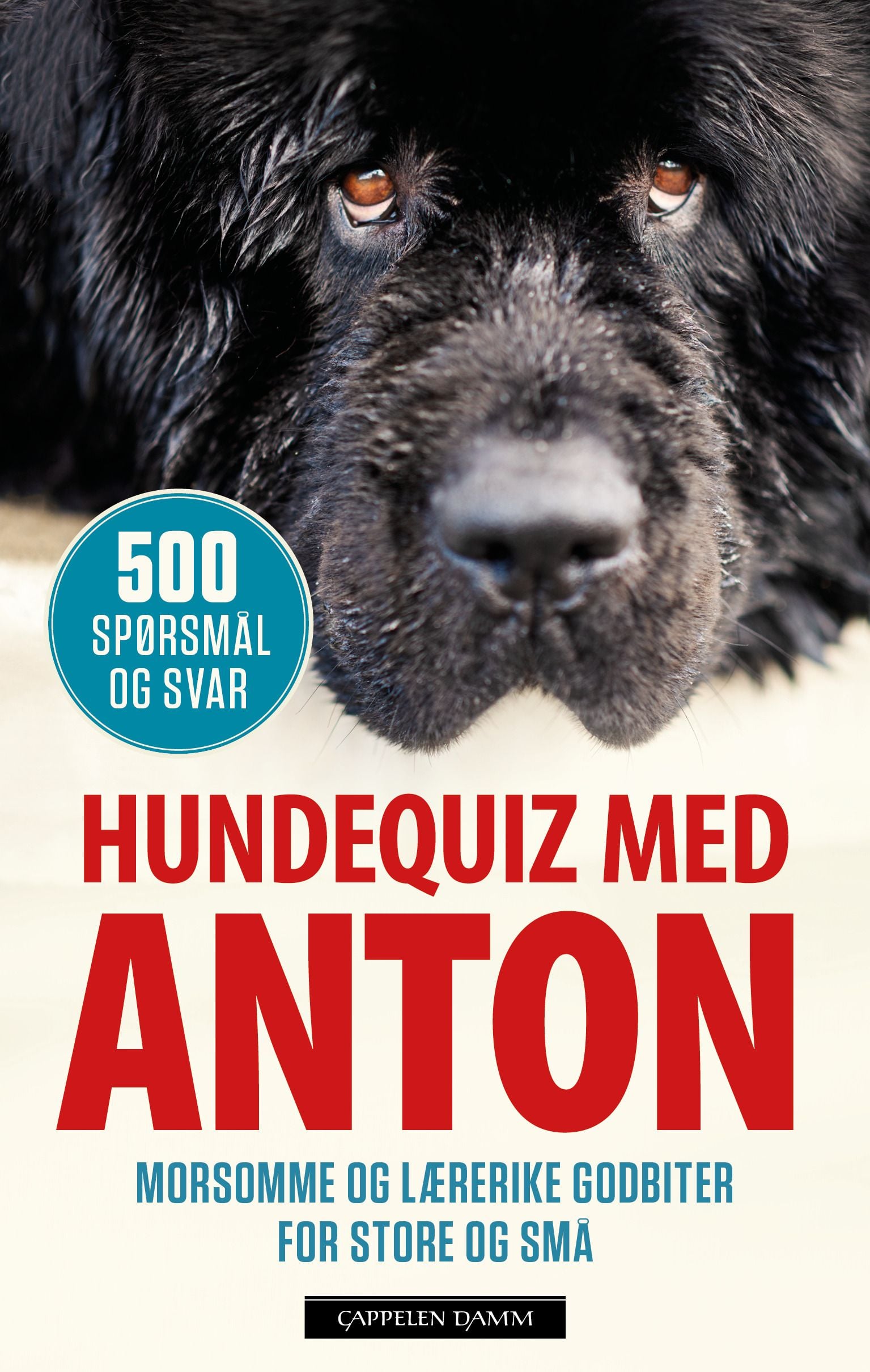 Hundequiz med Anton