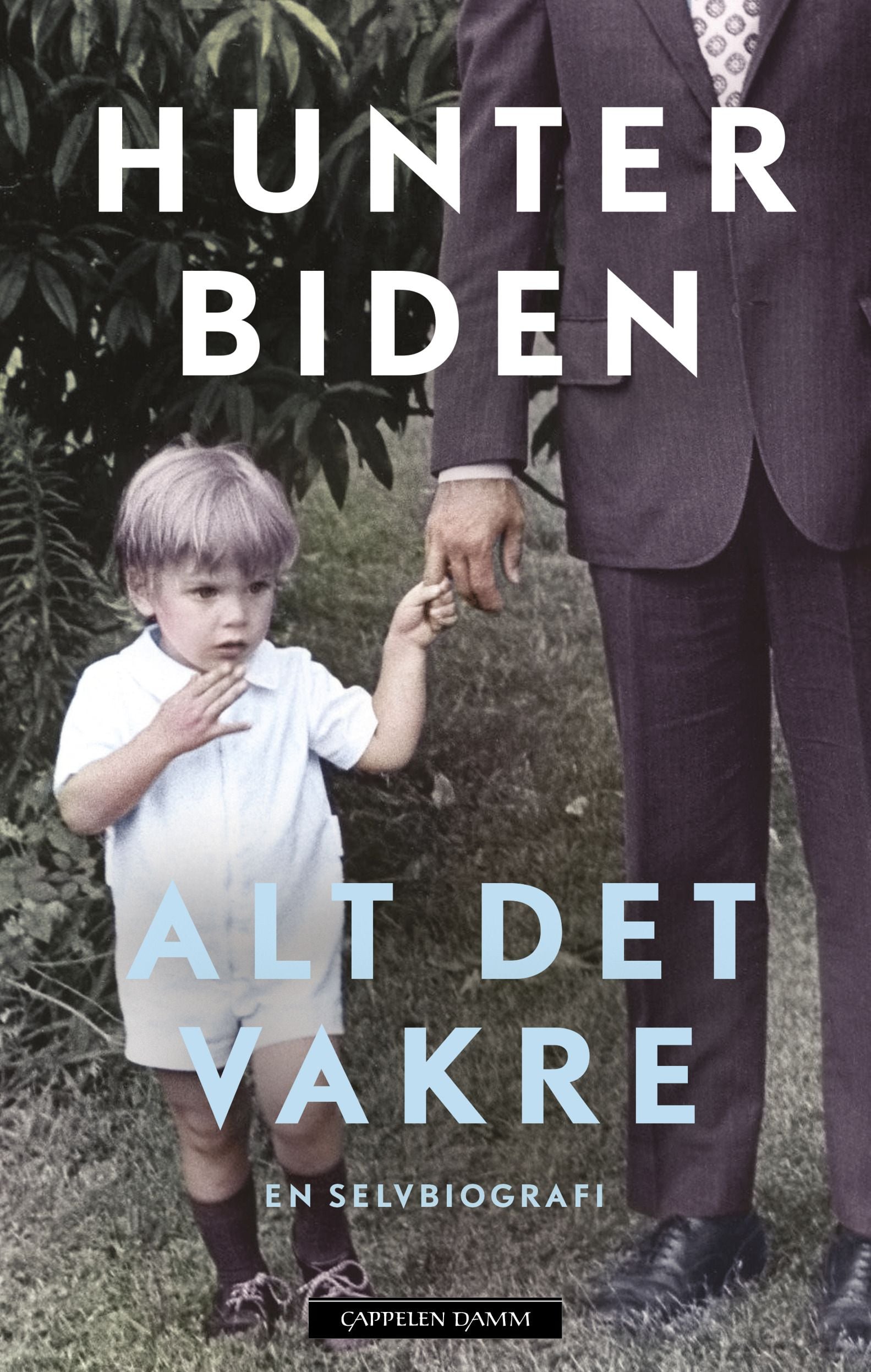 Alt det vakre