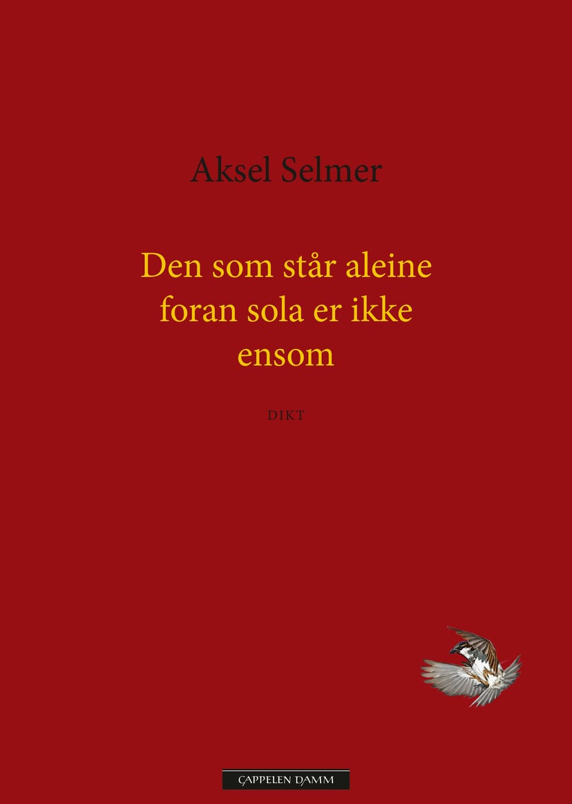 Den som står aleine foran sola er ikke ensom