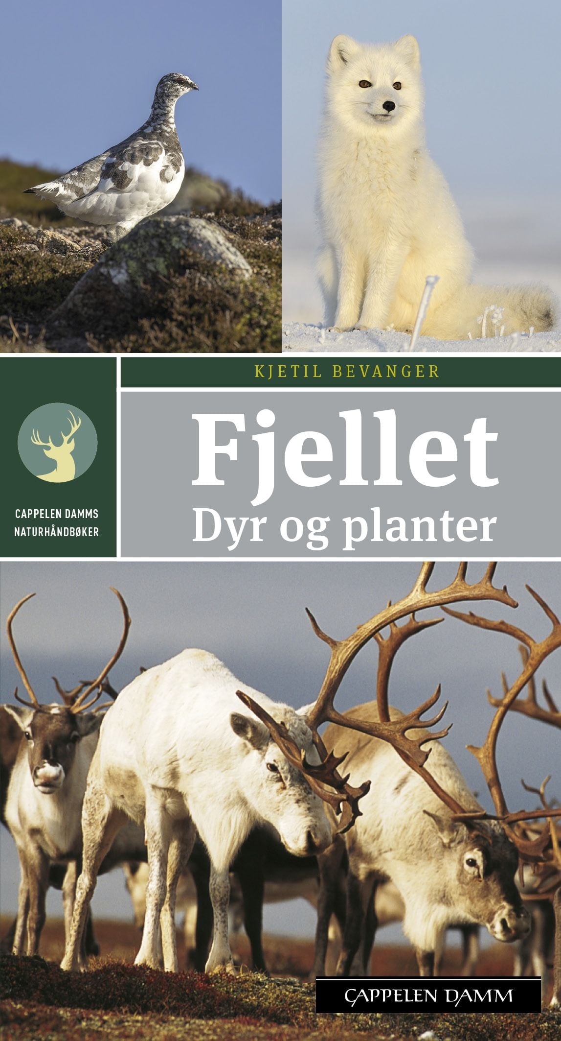 Fjellet