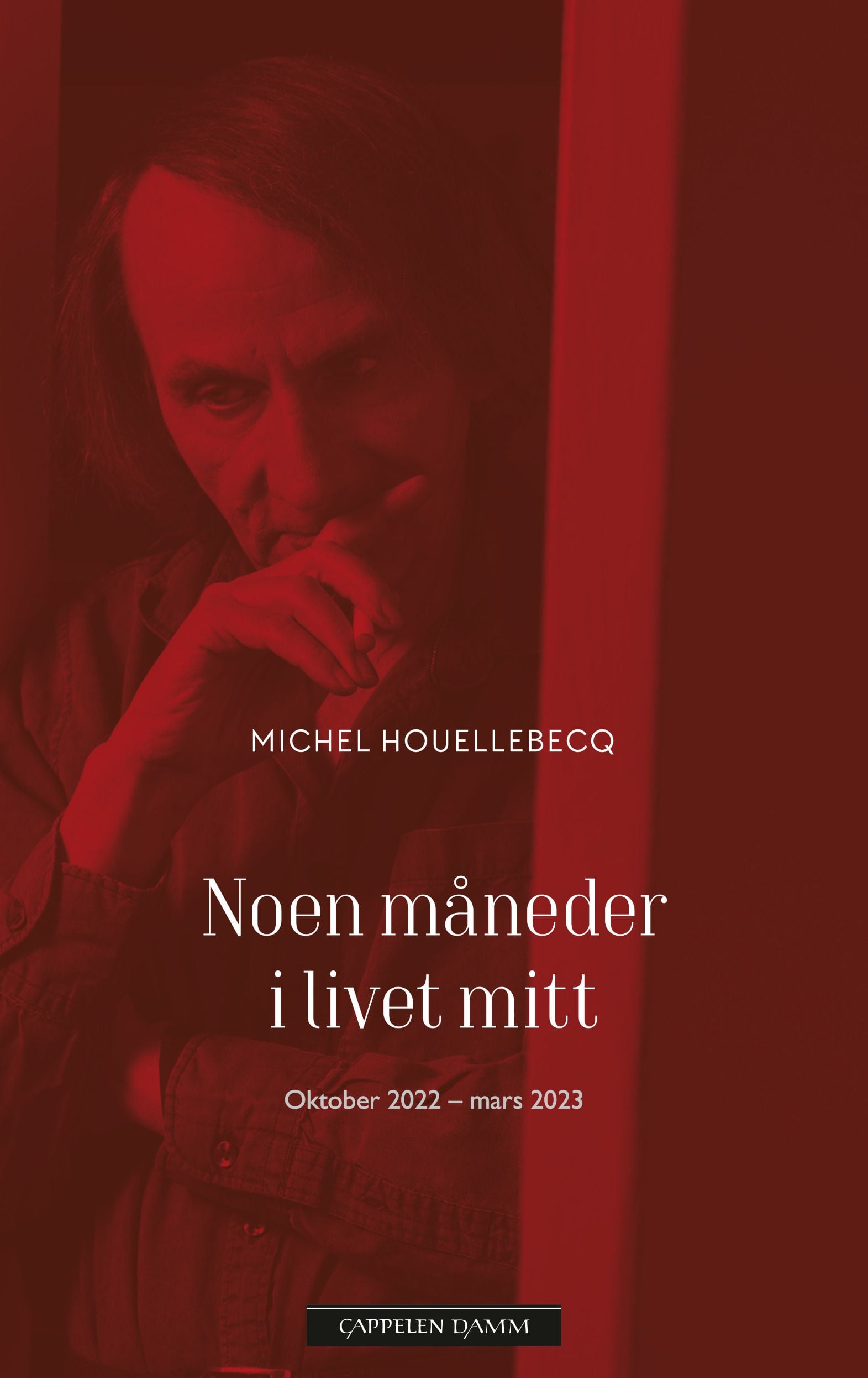 Noen måneder i livet mitt