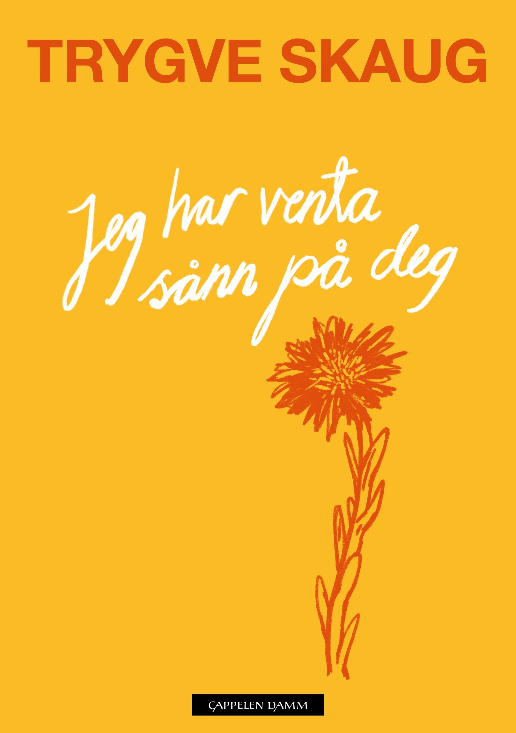 Jeg har venta sånn på deg