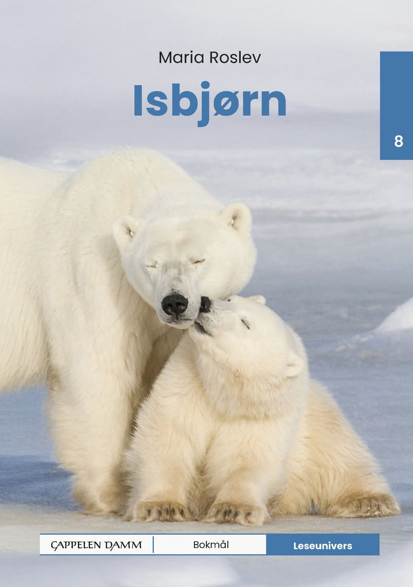 Isbjørn