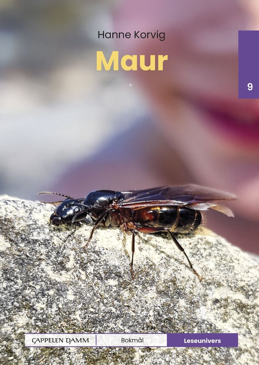 Maur