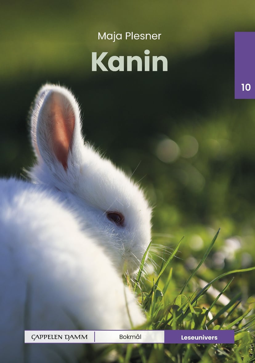 Kanin